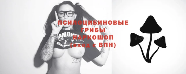 дживик Протвино