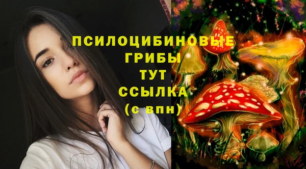 дживик Протвино