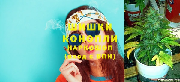 дживик Протвино