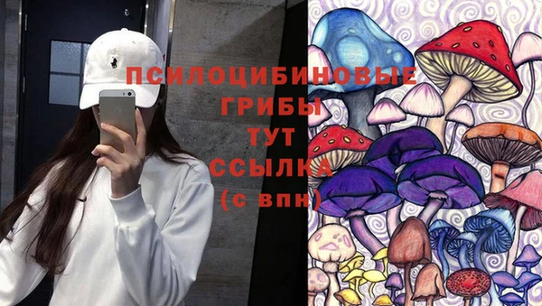дживик Протвино