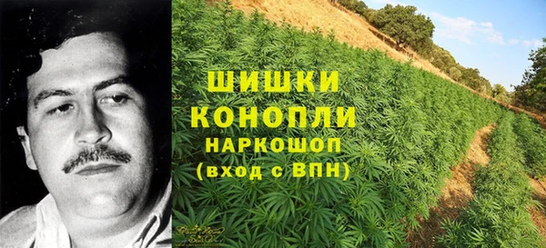 трава Пролетарск