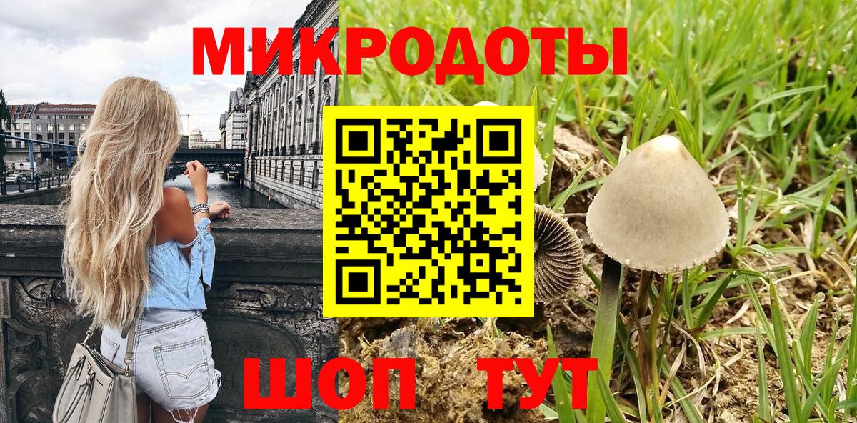 наркошоп  Галлюциногенные грибы прущие грибы  Белогорск  Галлюциногенные грибы мухоморы 