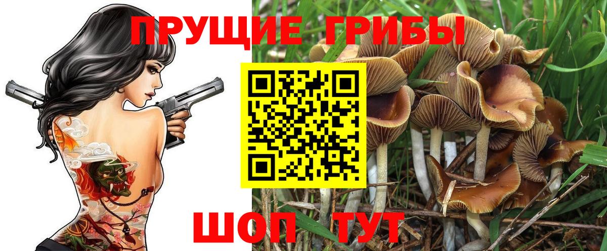 магазин  наркотиков  Вход с VPN  Белогорск  Галлюциногенные грибы Psilocybine cubensis 
