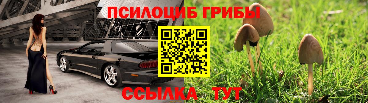 Галлюциногенные грибы Cubensis Белогорск